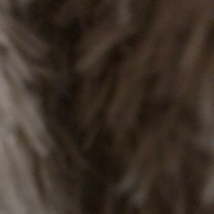 Meet your Posher, Mandeep